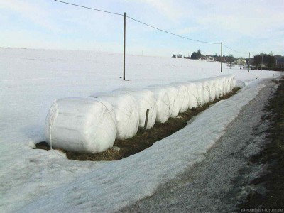 Schnee-Export.jpg