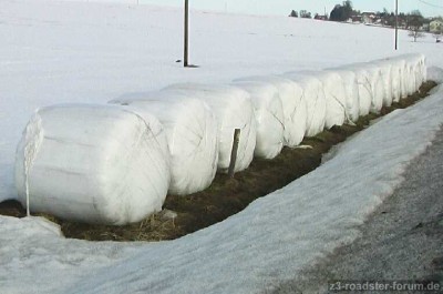 Schnee.jpg