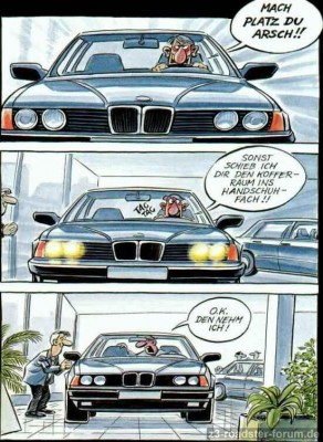 bmw-fahrer.jpg