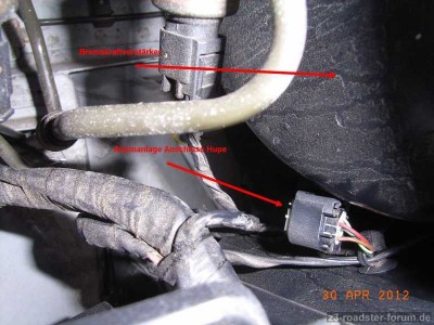 Stecker-Hupe-im-Motorraum.jpg