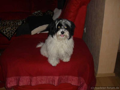 lilli 009.JPG