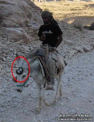 MaultierBMW.jpg