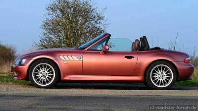 z8.jpg