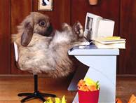 th (7).jpg frohe Ostern.jpg