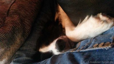 20140901_142243.jpg