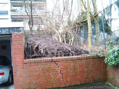 ZZZ-02.jpg