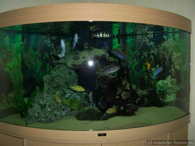 Aquarium.jpg