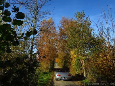 Herbst.jpg