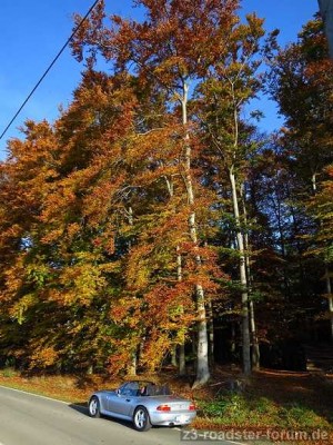 Herbst2.jpg