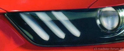 Mustang.jpg