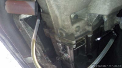 IMG_20160718_083044.jpg