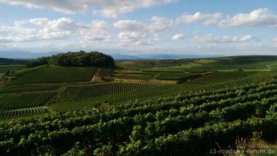 Blick Ost Vogesen Elsaß.jpg