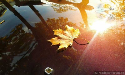 20161023_125209.jpg