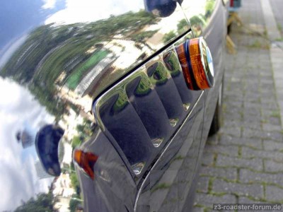 z4 Blinker groß.jpg