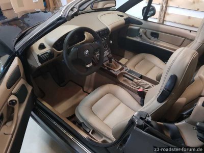 Spion Z3 Forum.jpg