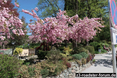 Img_1336.gif