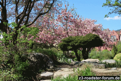 Img_1340.gif