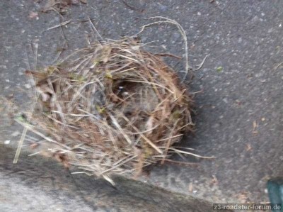 IMG-20180527-WA0006.jpeg
