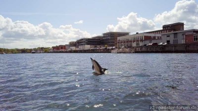 2019-05-07_Geomar-Delphin-Erweiterungsneubau_JKlimmeck 03.jpg