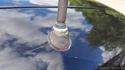 20190616_121242[1].jpg