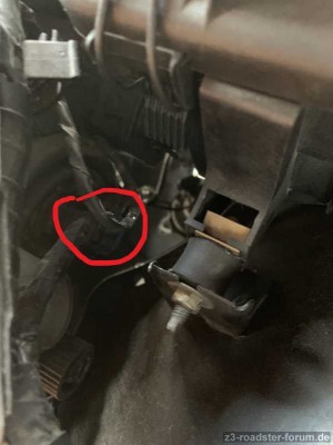20190710_165049112_iOS Stecker.jpg