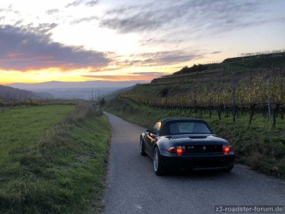 Kaiserstuhl Bickensohl Blich zu den Vogesen.jpg