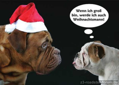 Frohes Fest.jpg