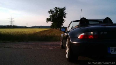 Sommerabend.jpg