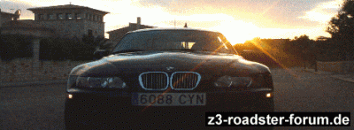 ZZ-sun_light_2.gif