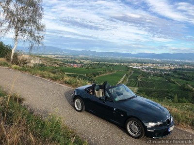 Blick über Bötzingen und Freiburg zum Schwarzwald.JPG