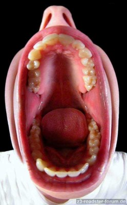 mouth.jpg