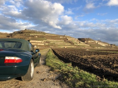 Ihringen am Kaiserstuhl.JPG