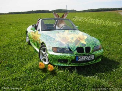 oster-Zetti.jpg