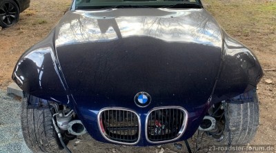 PHOTO-2021-03-12-16-23-45 (2).jpg