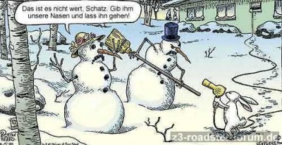 gemeiner-hase.jpg