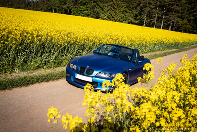 IMG_7731REM ohne KZ S.jpg