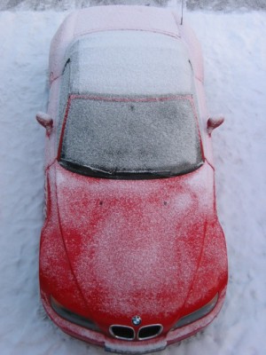 zetti 050129 002.jpg