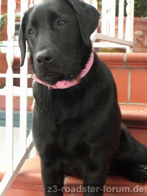 Sally 01_10_3.jpg