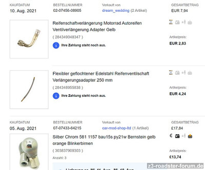 Ventilschlauch & Blinker.jpg