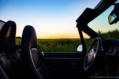 Innen Sunset REM2xs.jpg