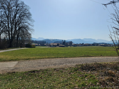 20220321_104112.jpg