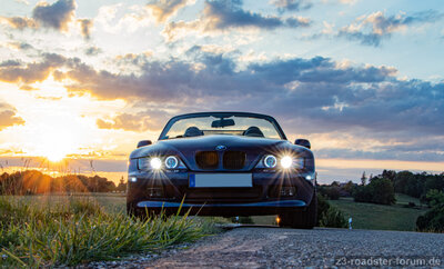 PicOfTheYear15x20oKZ.jpg