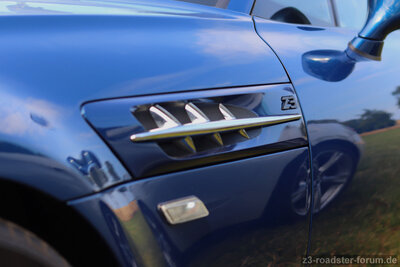 IMG_1113Rem.jpg