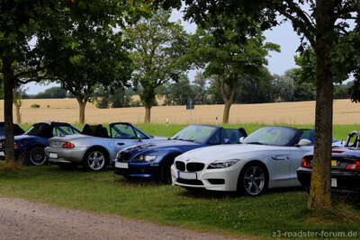 IMG_1127Rem.jpg