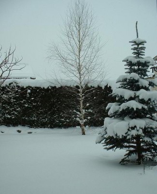schnee.jpg
