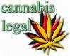 cannabis.jpg