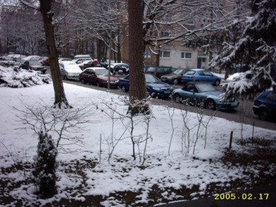 IMAGE0026.JPG