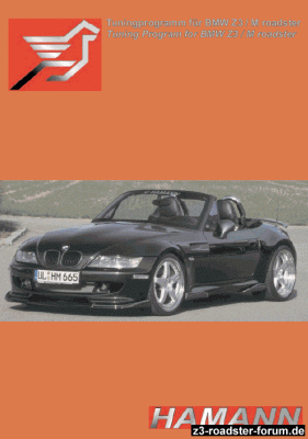 titel_hamann.gif