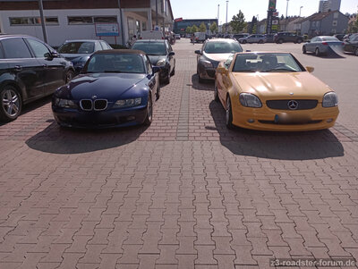 IMG_20230522_093034437_MFNR.jpg