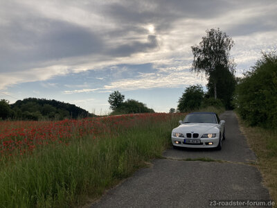 7CBF22E6-3D92-4BA4-A1CE-1C3E9B918F1F.jpeg
